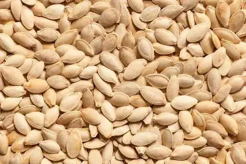 Natural pumpkin seeds